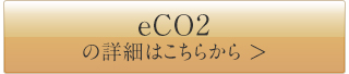 eco2-btn